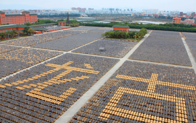 以創(chuàng)意賦能 展國(guó)企風(fēng)貌 廈門(mén)輕工集團(tuán)亮相第十七屆海峽旅游博覽會(huì),摘取兩項(xiàng)大獎(jiǎng)