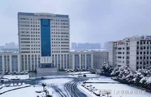 武漢輕工大學(xué)王牌專業(yè)有哪些 這個(gè)就很好