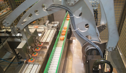 輕工業(yè)營收突破16萬億，驅(qū)動(dòng)食品機(jī)械行業(yè)邁向高質(zhì)量發(fā)展